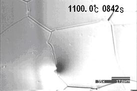 CLSM-observation of the pinning effect of particles in copper