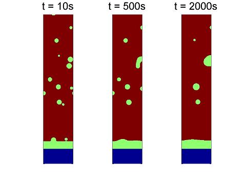 Phase field simulation of the coarsening of a Cu-Cu6Sn5-Sn(Cu)
joint with Cu6Sn5-precipitates.