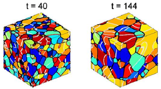 Evolution of a 3D structure with misorientation dependent grain
boundary energy. Grains with similar orientation have a similar color.
Boundaries with low misorientation are
white (1.5° misorientation) and gray (3°), special high angle
boundaries
(37.5° misorientation) are red and the other boundaries are black.
