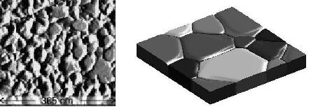 In-situ STM image of grooving at the surface of a gold film (Rost
el al. 2003) and an image of a 3D phase field simulation of grain growth and grooving in a thin
film.