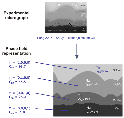 Phase field representation of a Cu-substrate/Ag-Cu-Sn solder joint.