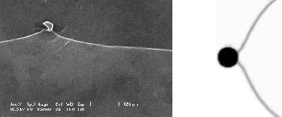 SEM image of a grain boundary pinned by a MnS
precipitate in low C steel and a cross-sectional image of a 3D  phase field simulations
of a spherical grain boundary
passing by a particle.